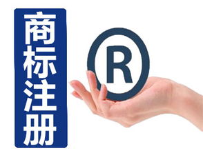 深圳市路浩知識產權代理 商標申請與保護的專業護航者