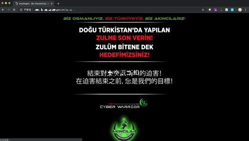 常見(jiàn)網(wǎng)絡(luò)安全風(fēng)險(xiǎn)及應(yīng)對(duì)策略 聚焦網(wǎng)絡(luò)與信息安全軟件開(kāi)發(fā)